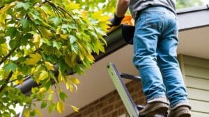 A person on a ladder cleaning leaves from a roof gutter